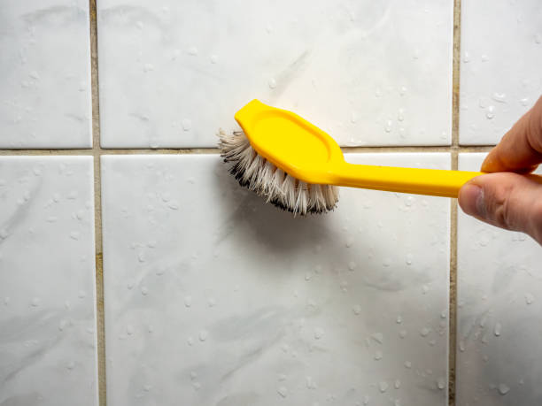Best Mold Remediation for Schools in Woodstock, GA